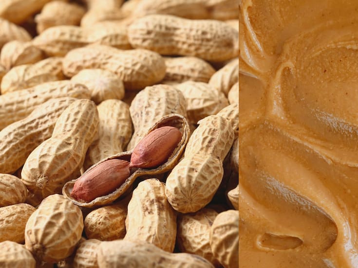 Dosis pequeñas de cacahuate podrían ayudar a niños con alergia, según estudio