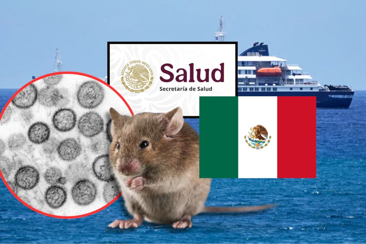 México emite su primera alerta epidemiológica por hantavirus y activa vigilancia nacional en hospitales, laboratorios y unidades médicas
