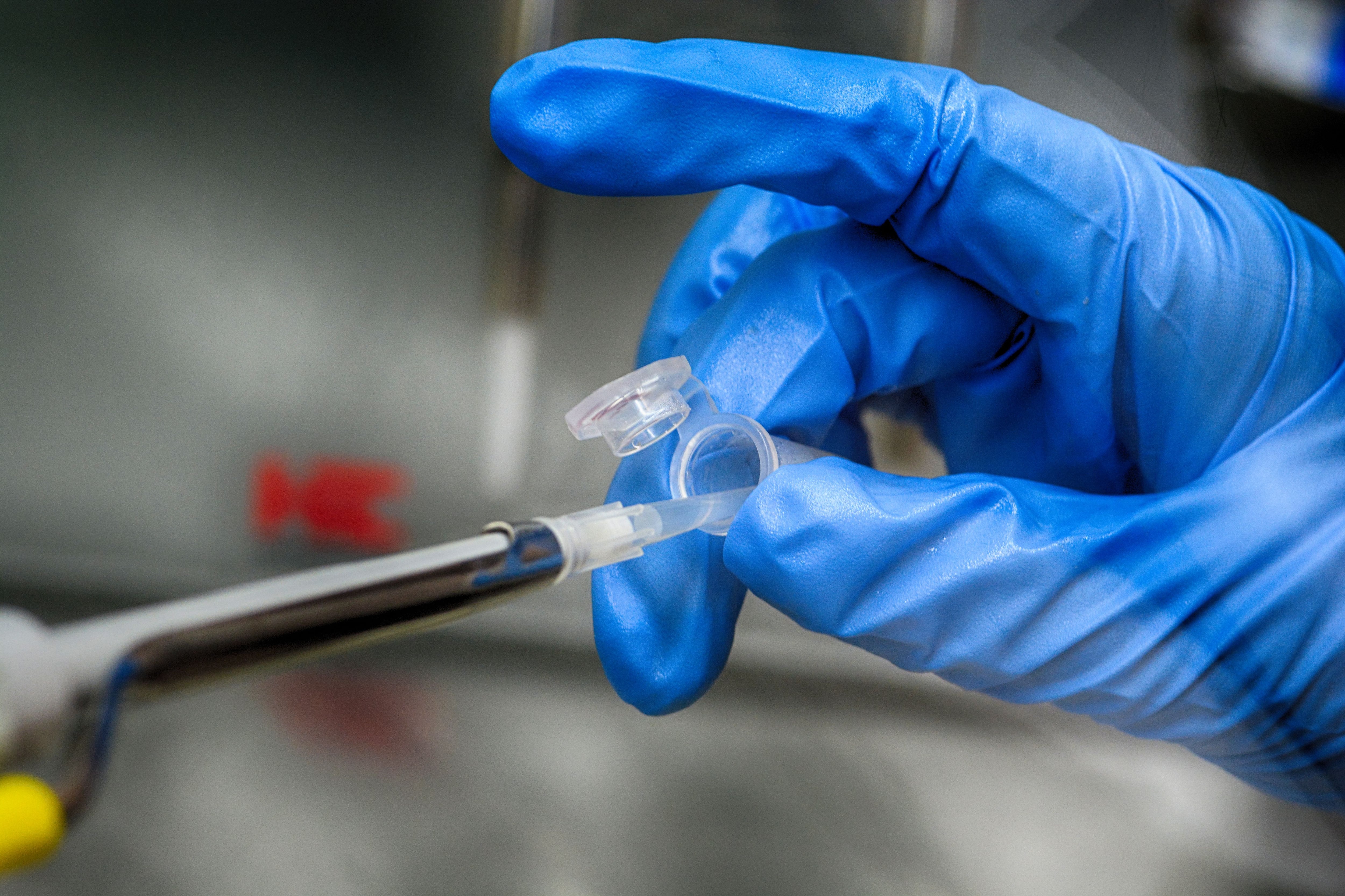 El tratamiento consiste principalmente en antibióticos y atención médica. Entre los medicamentos utilizados contra la peste se encuentran ciprofloxacina, levofloxacina, moxifloxacina, gentamicina y estreptomicina. Foto: Pexels