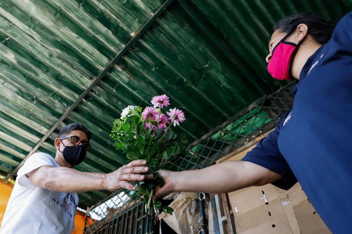 Día de Muertos tampoco colma expectativas de floristas en Paraguay