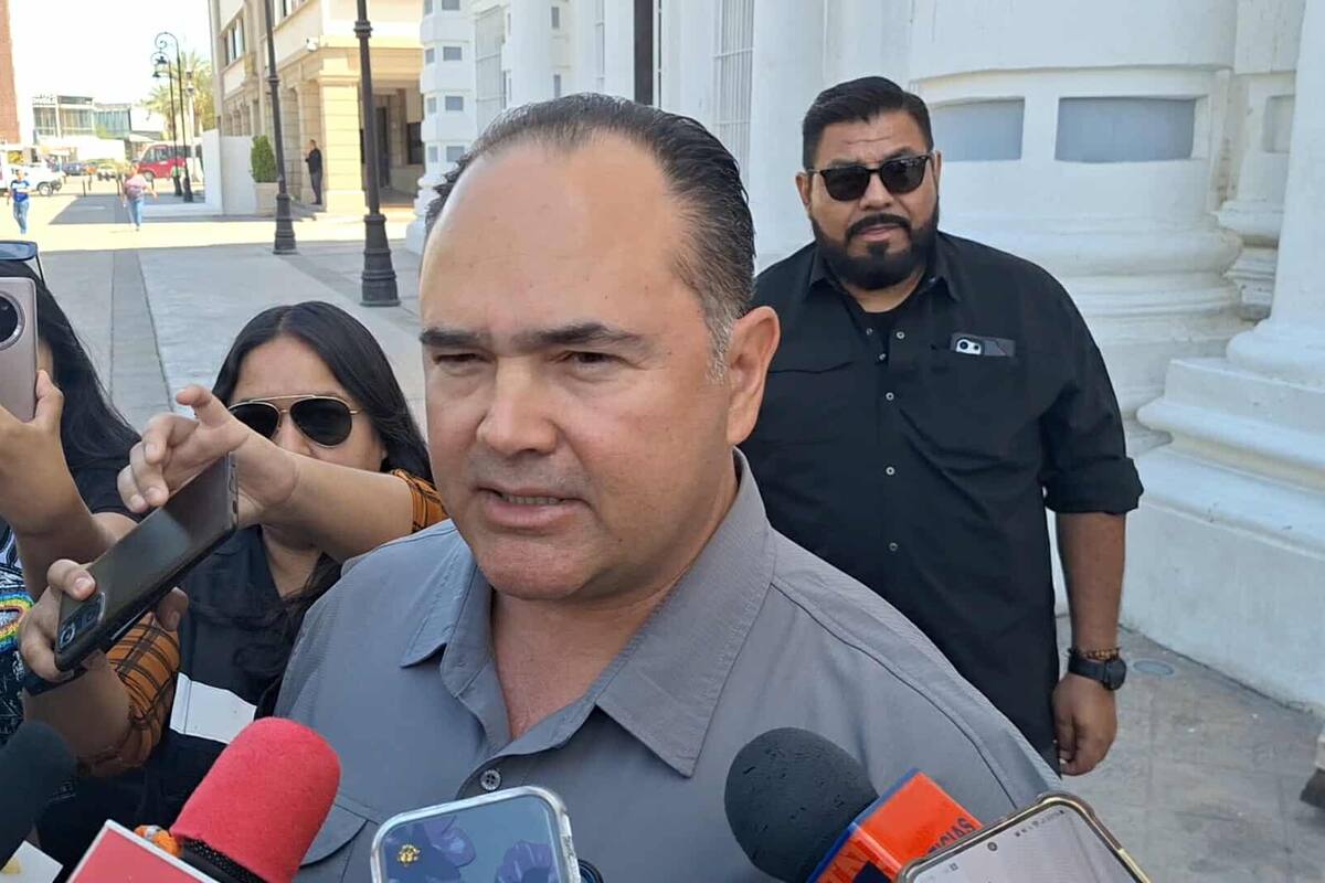Destruyen 60 toneladas de marihuana en Álamos en lo que va del año