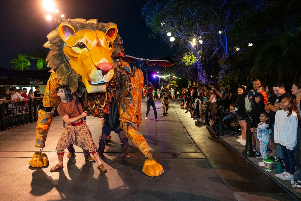 Regresan las noches de zoológico con “Nightime Zoo”