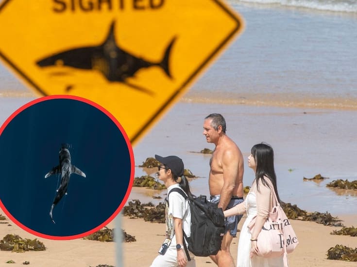 Dos niños y dos adultos son atacados por tiburones en playas de Australia durante un periodo de 48 horas; incidentes son atribuidos a aguas turbias tras intensas lluvias