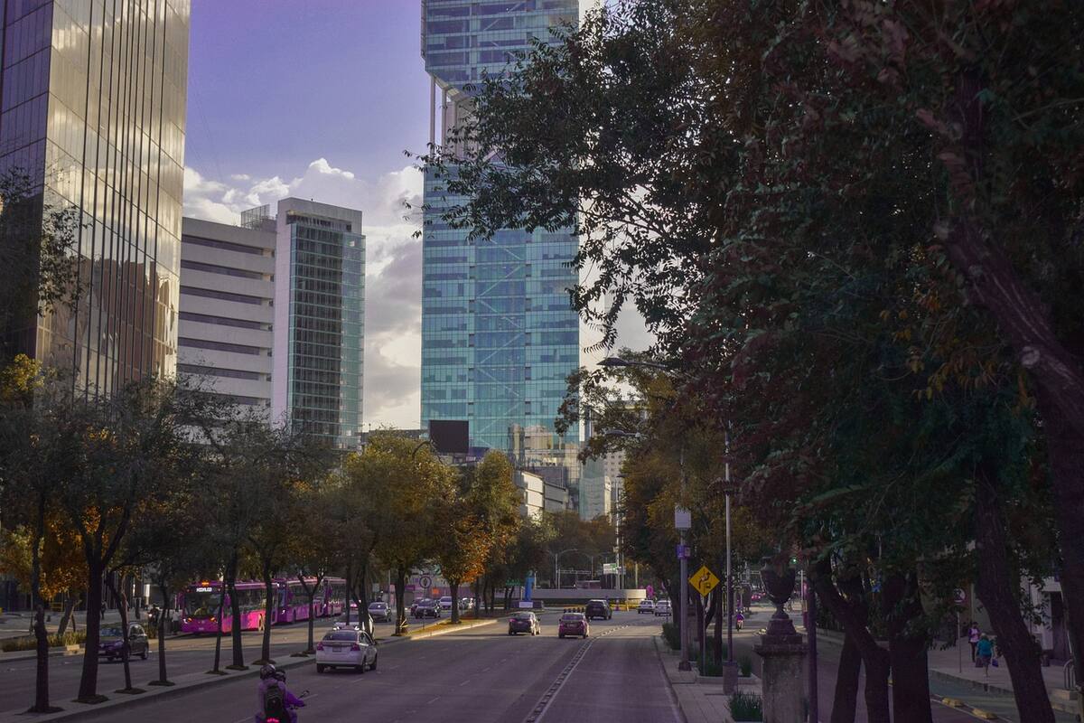 Hoy No Circula: Estos autos "descansan" hoy viernes 29 de octubre en CDMX y Edomex