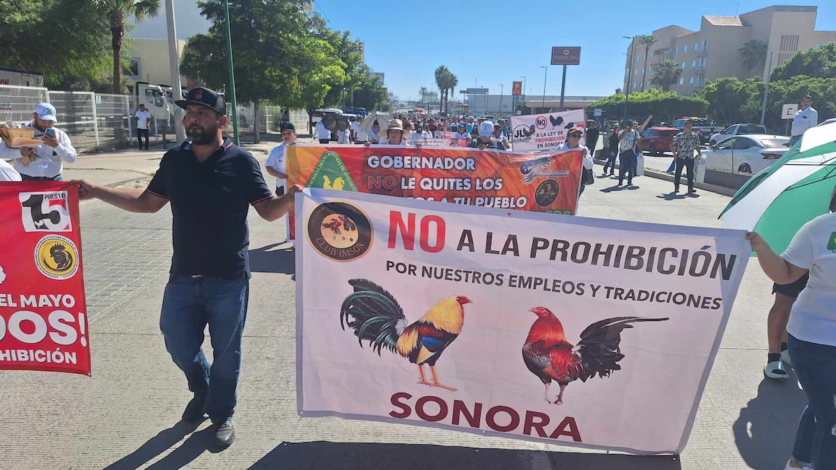 Galleros se preparan para manifestación pacífica rumbo al Congreso de Sonora