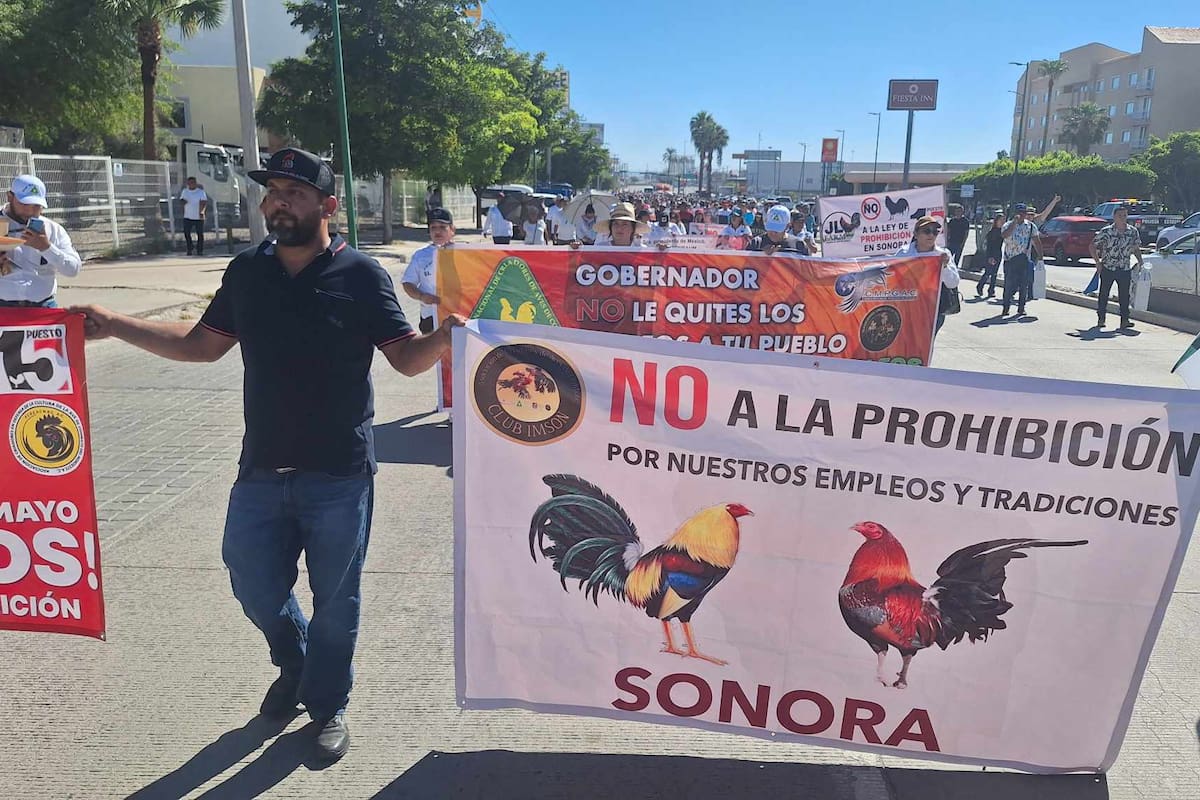 Realizarán galleros una megamarcha contra Ley Animal en Sonora, ¿Cuándo?