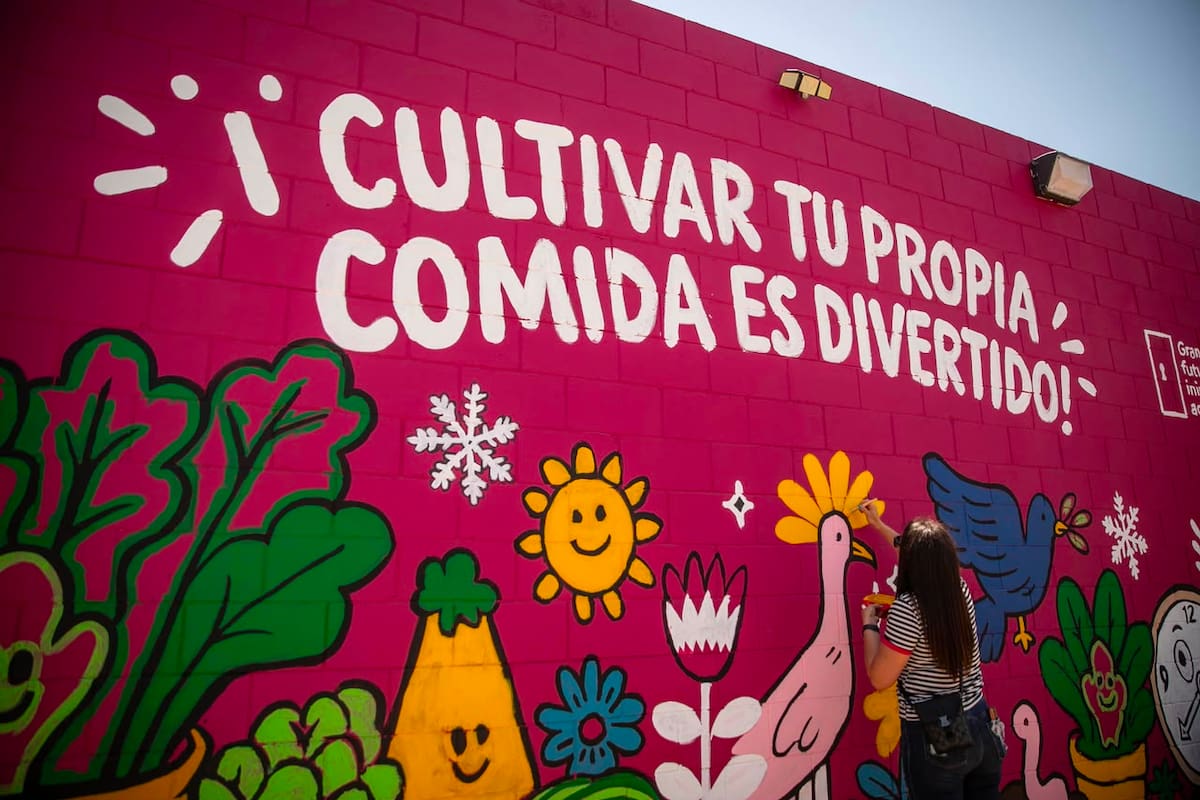 Inauguran huerto educativo en Club de Niños y Niñas de Tijuana; menores cultivarán los alimentos que consumirán