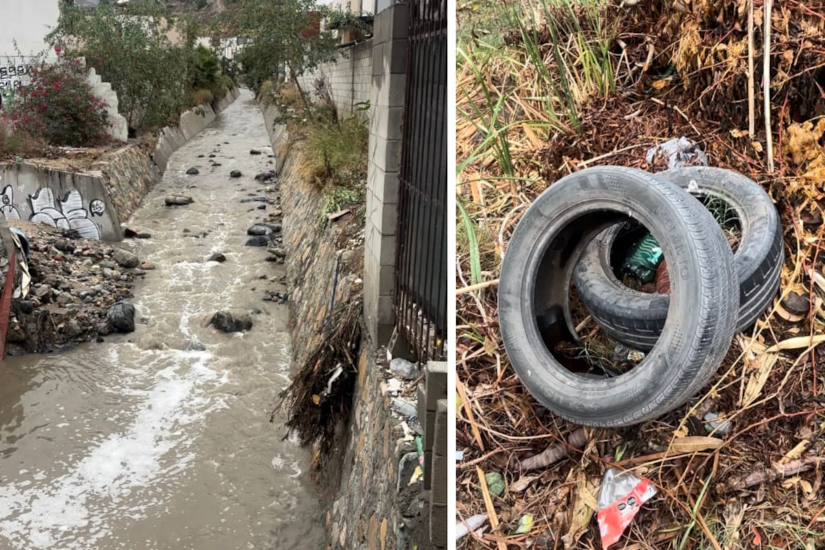 Vecinos de Ribera del Bosque limpian canal del arroyo Alamar ante riesgo de inundaciones