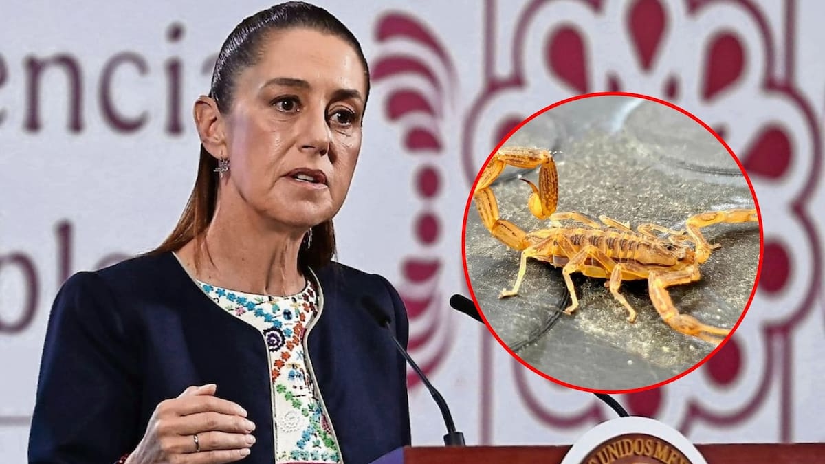 Sheinbaum dice que revisará caso de la niña de Hermosillo fallecida en hospital del IMSS que carecía de antídoto contra picadura de alacrán