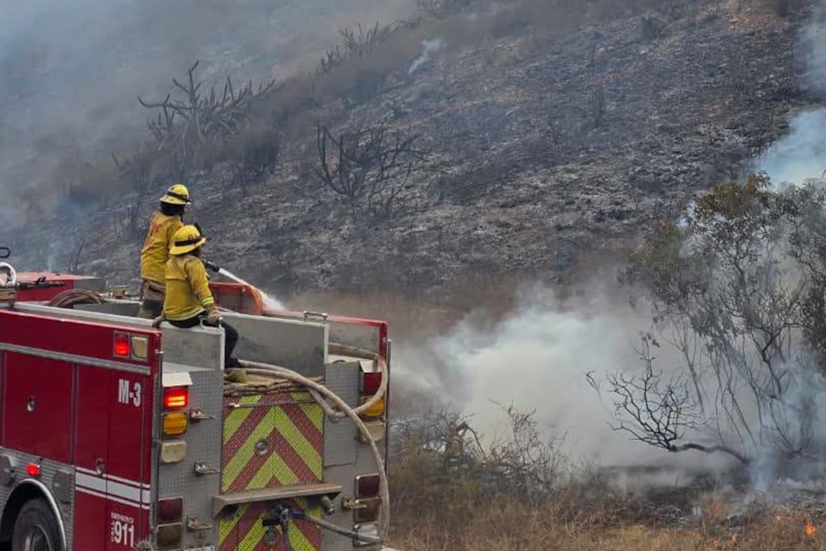 Incendio afecta 15 hectáreas de vegetación en San Quintín