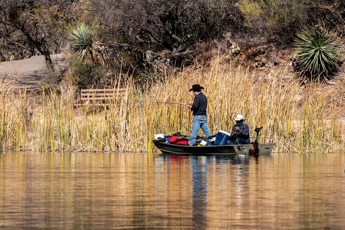 Hermosa, Arizona: naturaleza, montañas y paisajes cerca de Patagonia