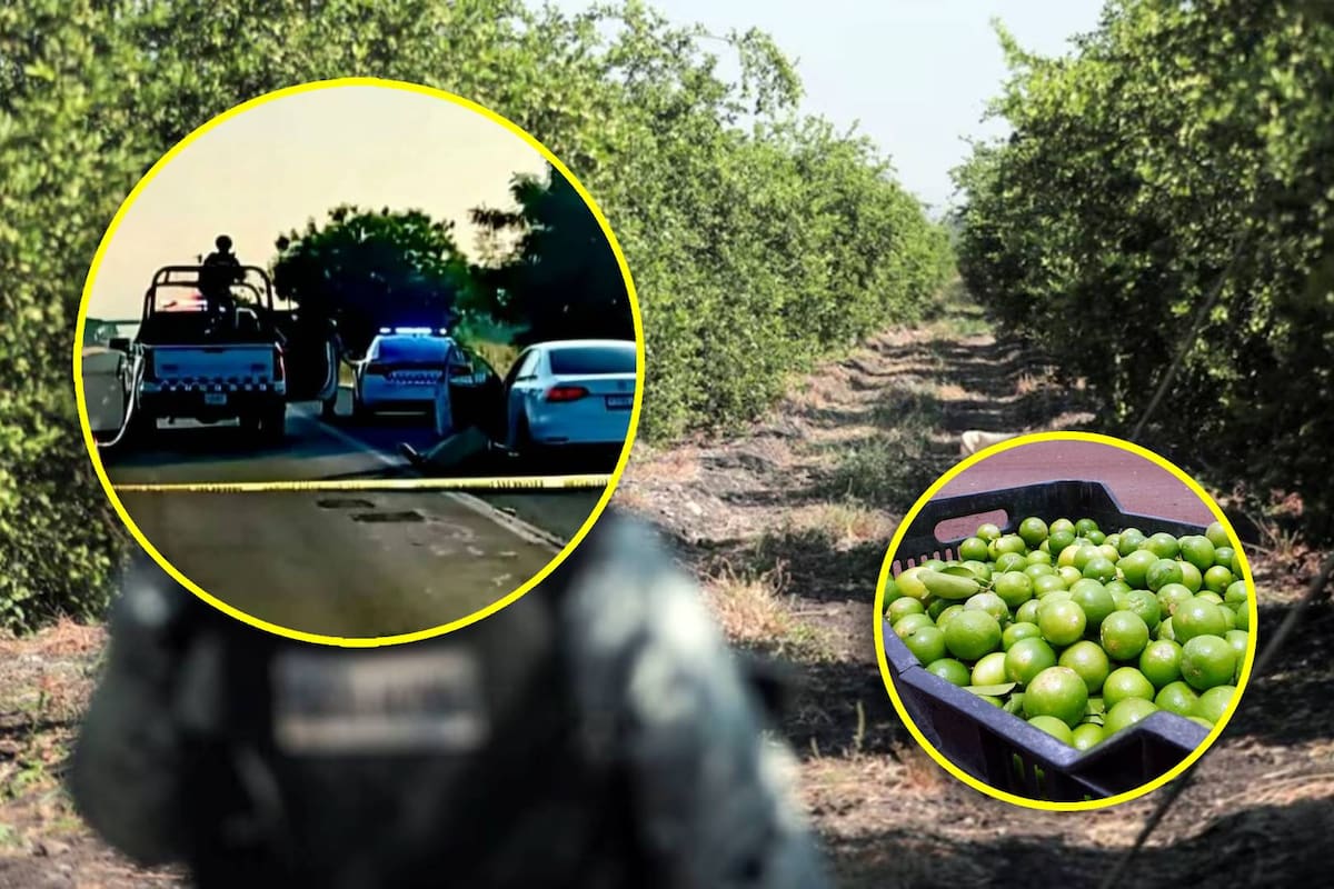 Asesinan al líder limonero de Michoacán; encontraron su cuerpo en su vehículo cerca de una carretera con impactos de bala