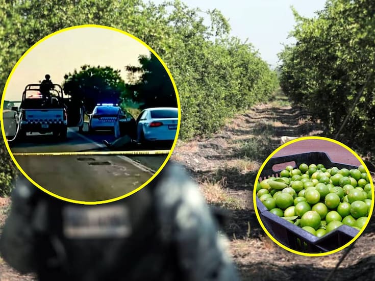 Asesinan al líder limonero de Michoacán; encontraron su cuerpo en su vehículo cerca de una carretera con impactos de bala