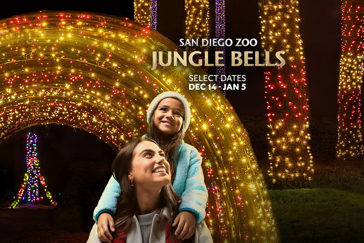 San Diego Zoo celebra la temporada navideña con el regreso de ‘Jungle Bells’