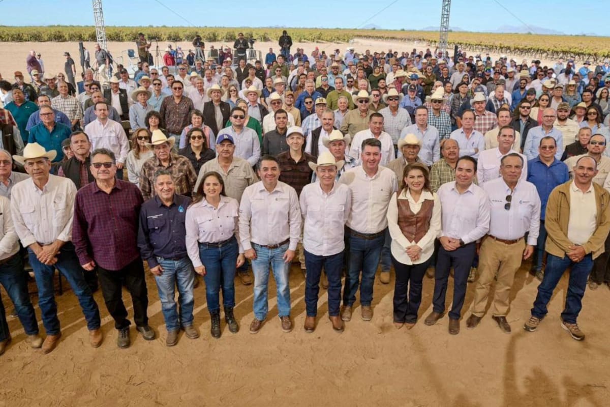 Los motores del empleo en Sonora