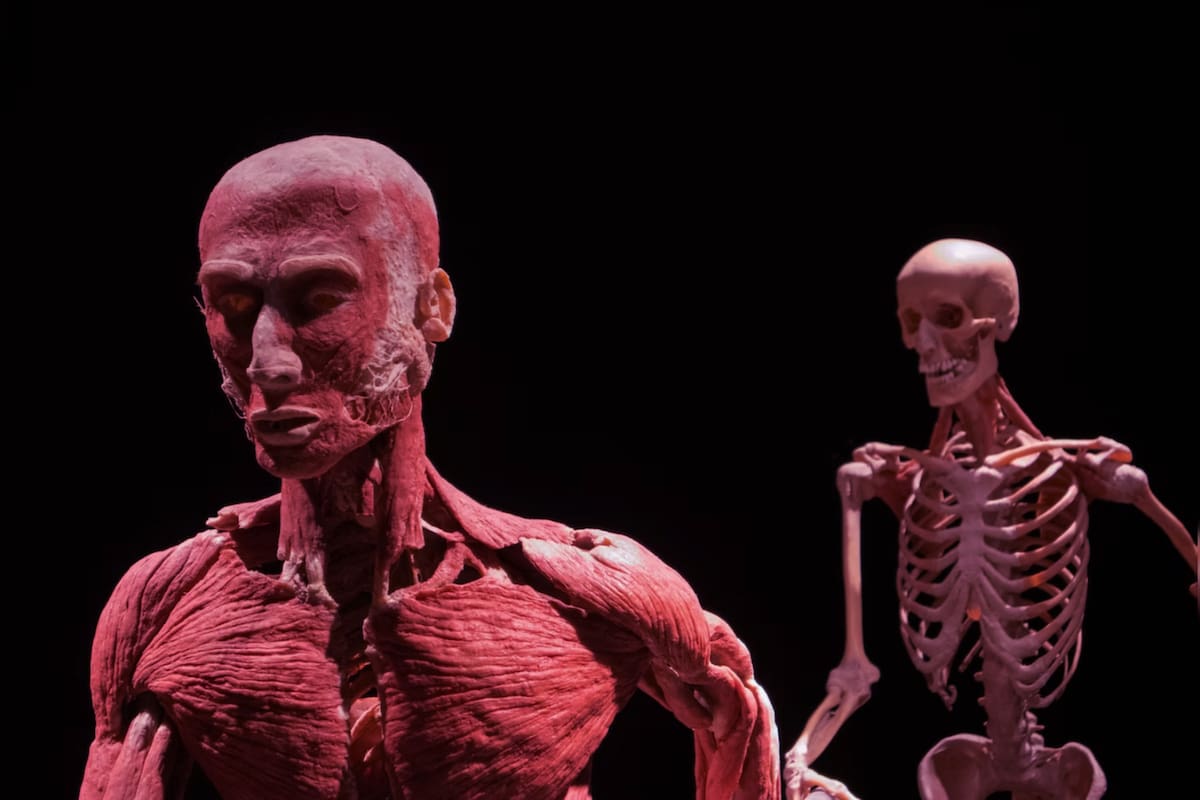 Algunos datos fascinantes y "aterradores" del cuerpo humano