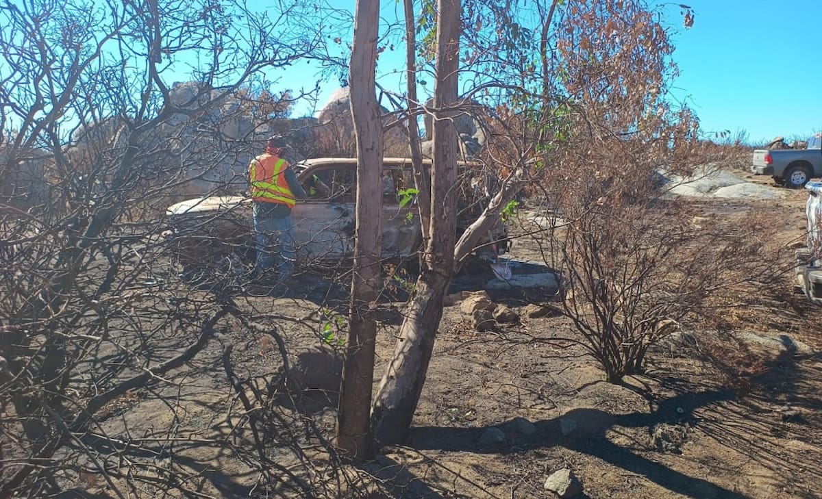 La búsqueda forma parte de las investigaciones relacionadas para la localización de personas desaparecidas.