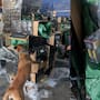 Aseguran en el AICM 2 millones 400 mil cigarros apócrifos procedentes de China