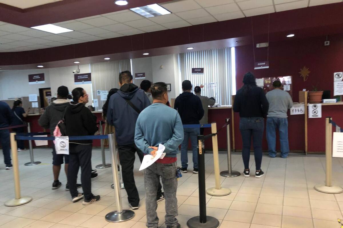 36% de contribuyentes ha cumplido con revalidación de tarjetas de circulación en Rosarito