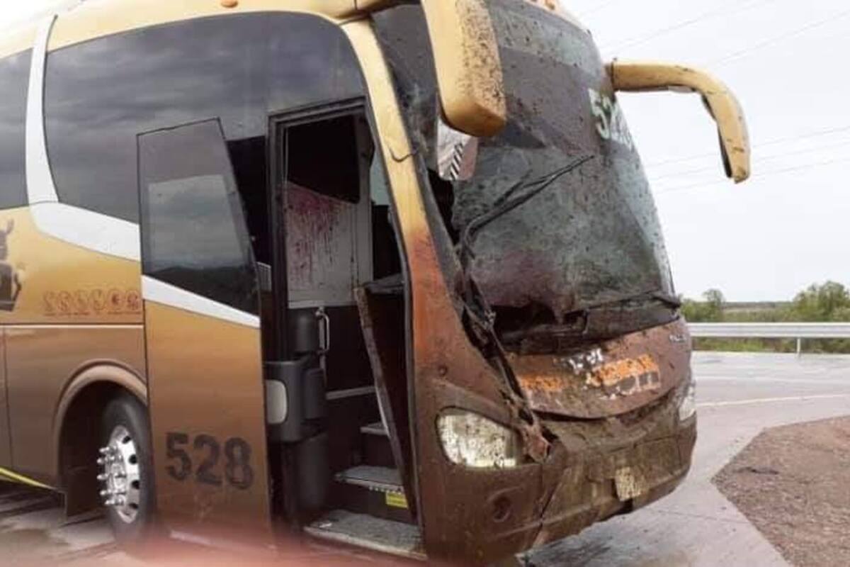 Camión de pasajeros choca contra caballo