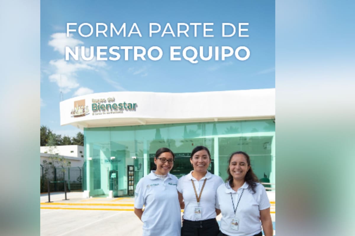 El Banco del Bienestar abre vacantes en todo México y confirma que el proceso de postulación es exclusivamente digital para garantizar estabilidad laboral a quienes registren su perfil en el portal oficial de empleo