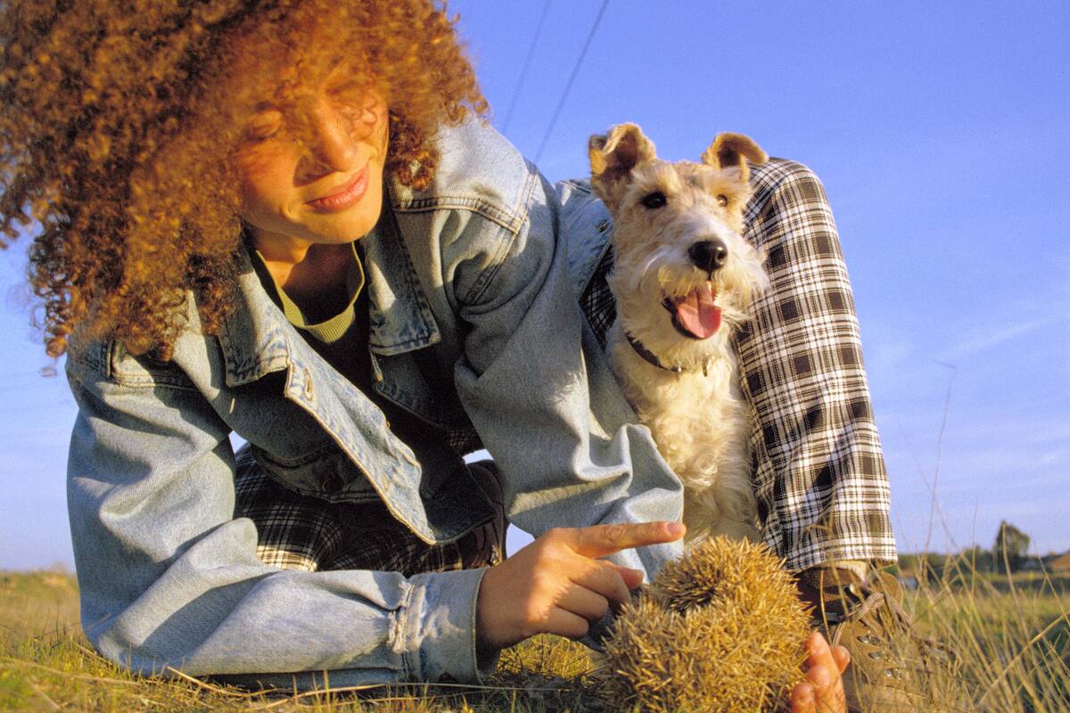 El impacto social de las mascotas