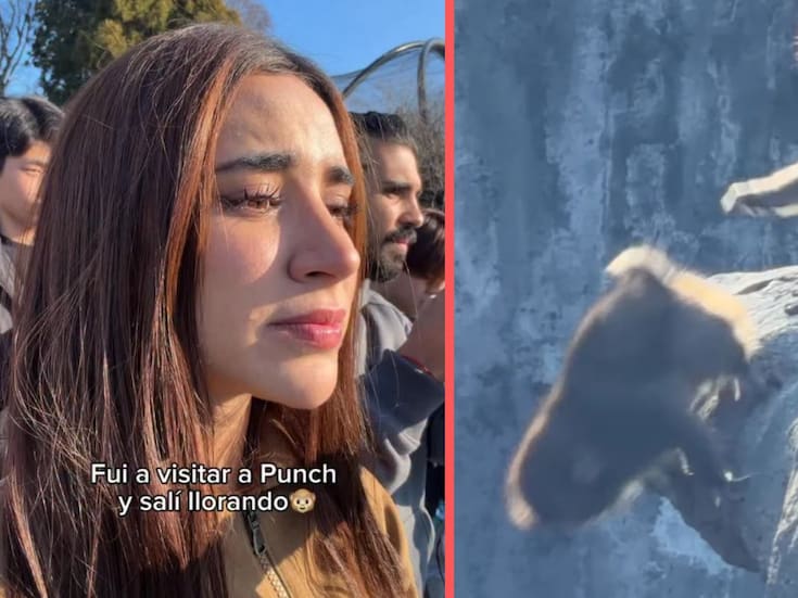 Tammy Parra rompe en llanto tras ver cómo lanzan a “Punch”, el mono viral, durante su visita a Japón, y desata críticas en redes por promocionar un lugar señalado por incentivar el cautiverio de animales