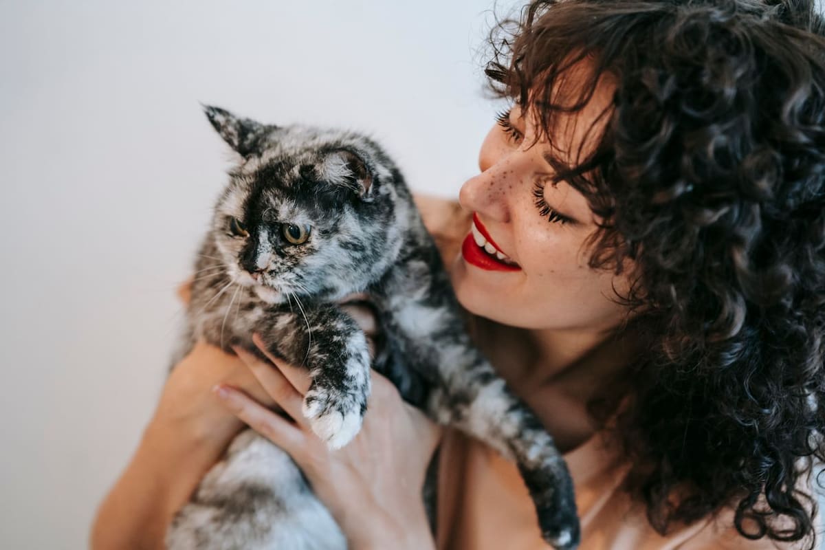 Según especialistas, expresiones como “perrihijos” o “gatihijos” reflejan el nivel de compromiso emocional que algunas personas desarrollan con sus animales. | Foto: Pexels