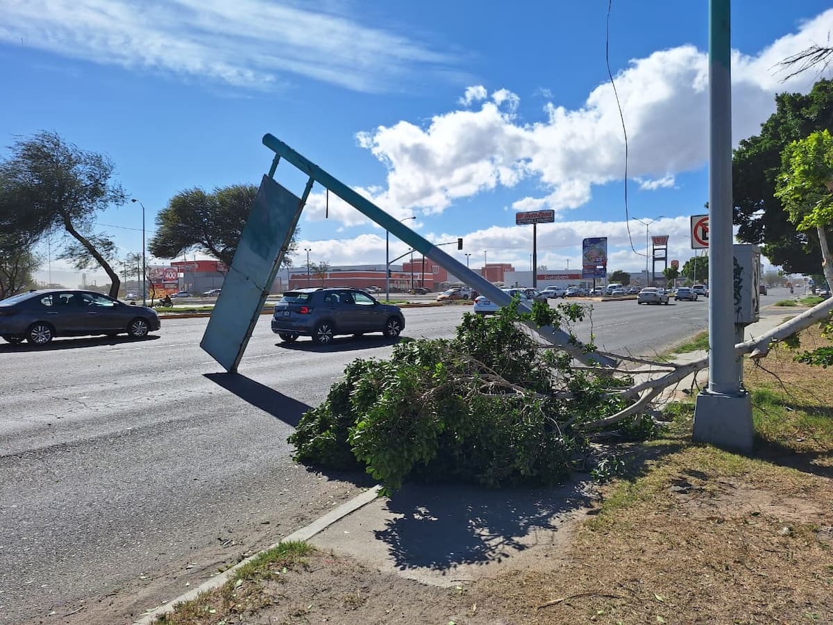 Foto: Arturo Ceceña