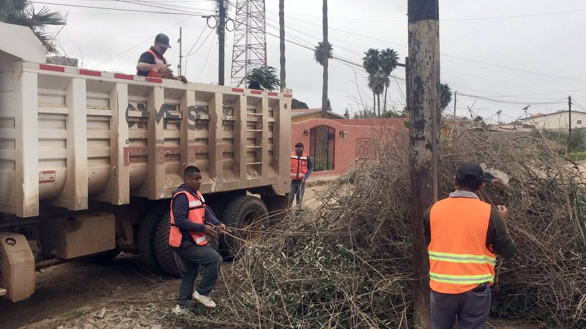 Se recolectaron 451.4 toneladas de basura doméstica en San Quintín.