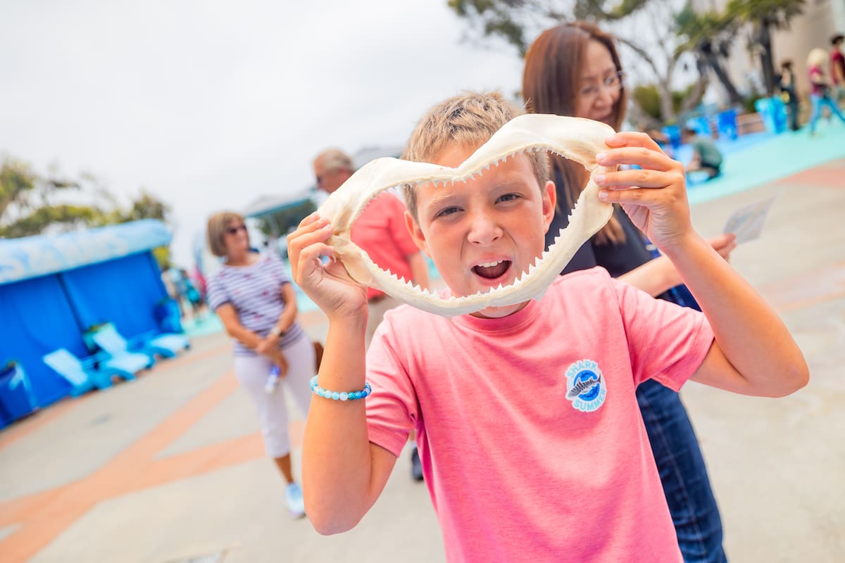 Las actividades incluyen estaciones de exploración, alimentación, charlas básicas sobre tiburones y mantarrayas. Foto: Cortesía