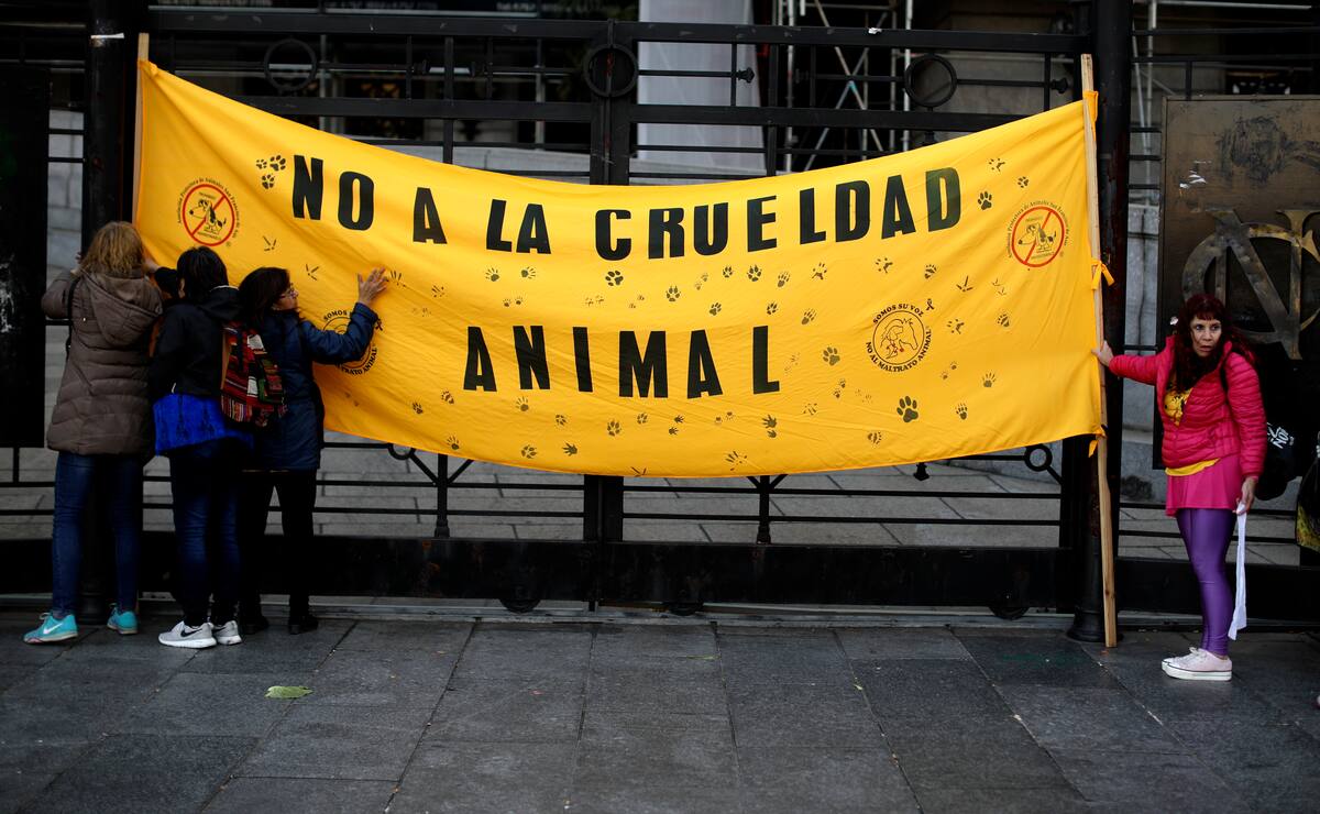 Activistas por los derechos de los animales se manifiestan en el exterior del Congreso con un pancarta con el lema "No a la crueldad animal", en Buenos Aires, Argentina, el 7 de agosto de 2019. La pugna sobre la identidad argentina enfrenta a un número cada vez más grande de veganos y vegetarianos contra consumidores de carne, en un país conocido por sus reses, sus vaqueros gauchos y sus asados sagrados. (AP Foto/Natacha Pisarenko)