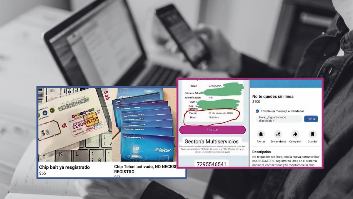“¿No quieres perder tu línea telefónica, pero tampoco quieres darle tus datos al gobierno?” Comerciantes venden chips “ya registrados”, CURP generadas y credenciales del INE falsas tras nueva norma federal; los precios van desde 27 pesos hasta mil pesos