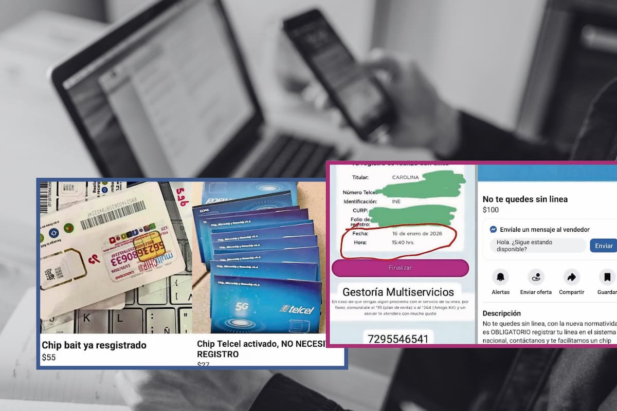 “¿No quieres perder tu línea telefónica, pero tampoco quieres darle tus datos al gobierno?” Comerciantes venden chips “ya registrados”, CURP generadas y credenciales del INE falsas tras nueva norma federal; los precios van desde 27 pesos hasta mil pesos