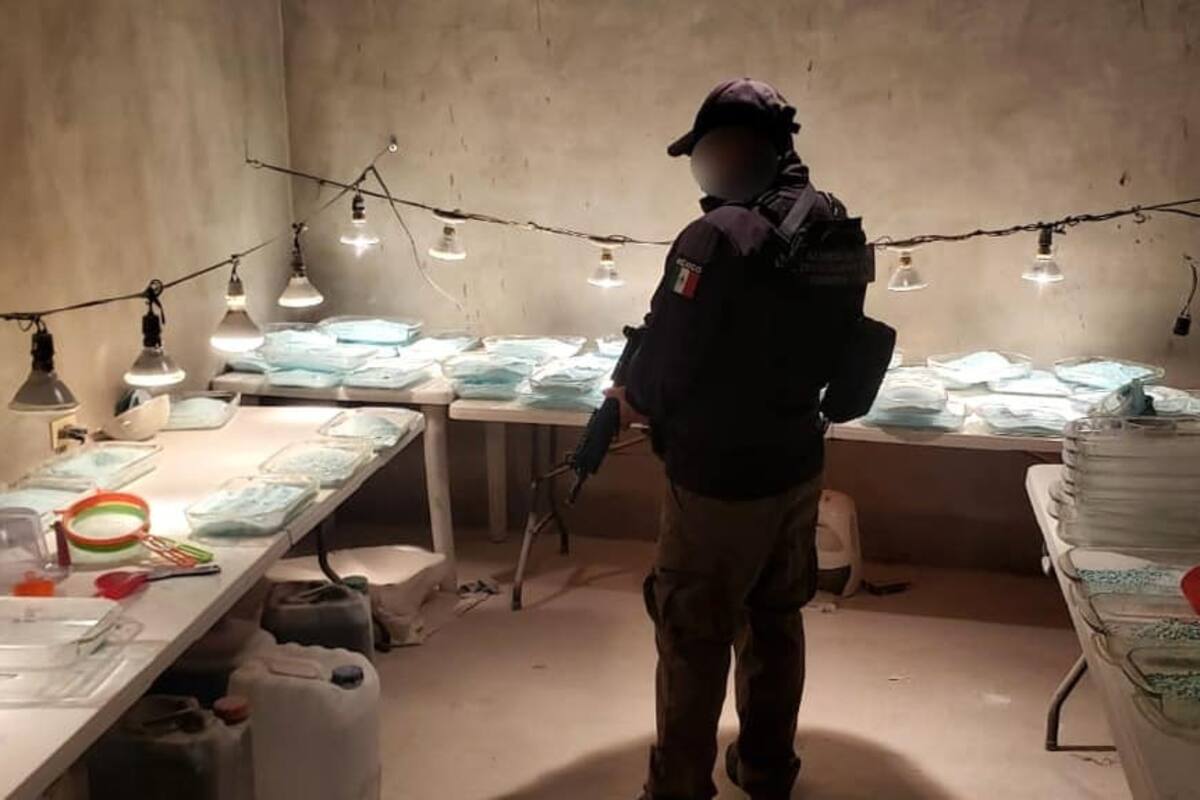 Se duplica decomiso de fentanilo en Tijuana