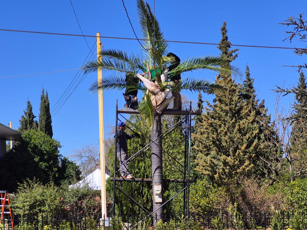 Créditos: MANUEL JIMÉNEZ