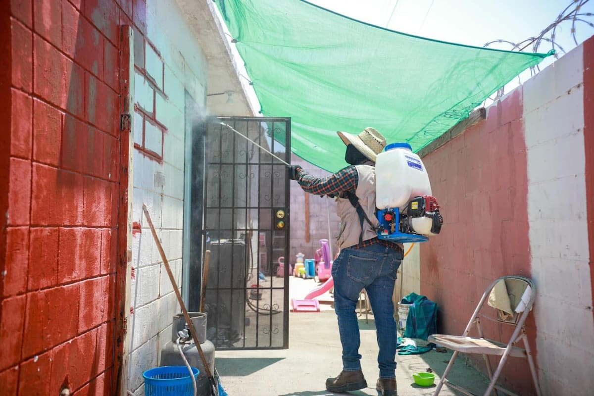 Ensenada reporte seis muertes por Rickettsia