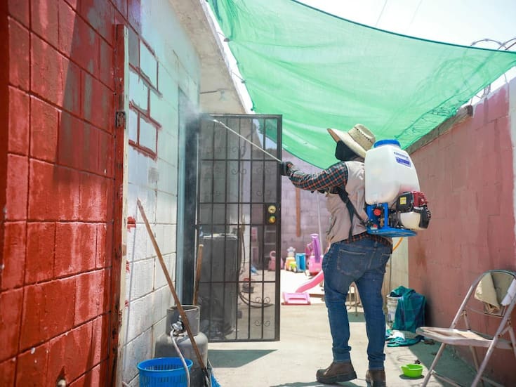 Ensenada reporte seis muertes por Rickettsia