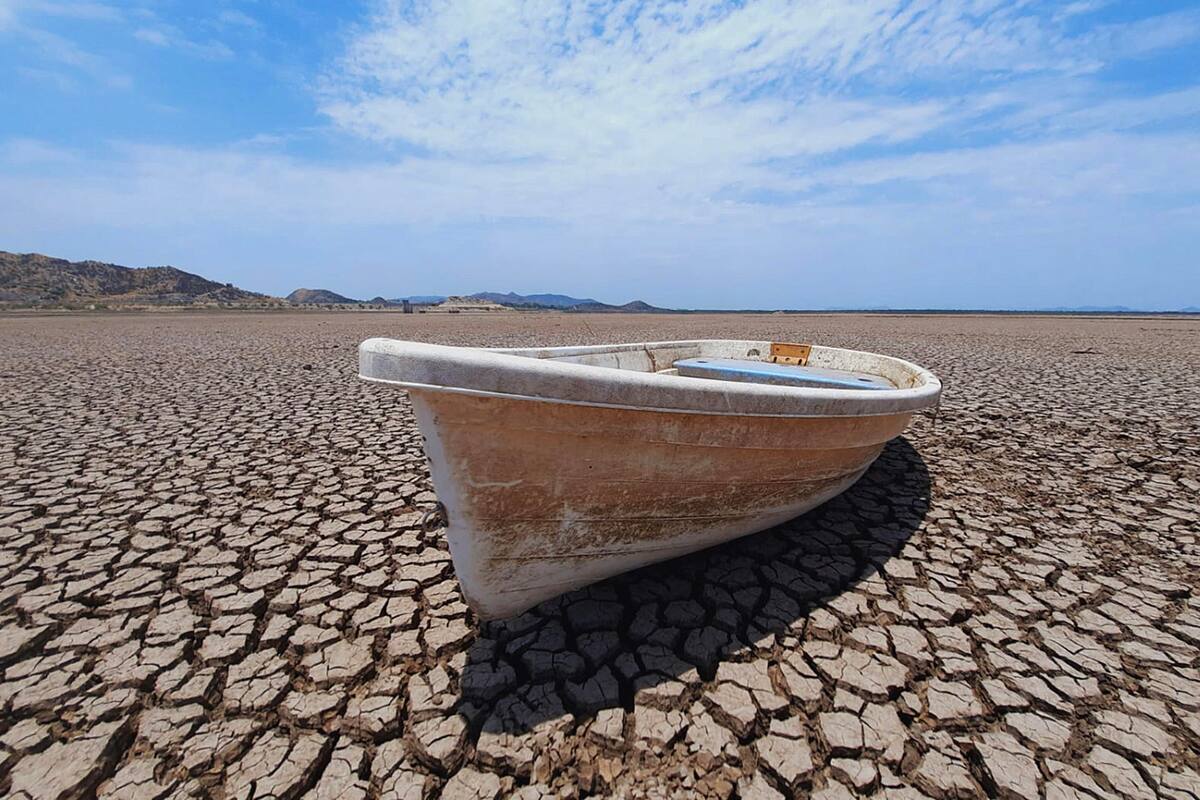 Calentamiento Global: El desafío urgente que enfrenta México