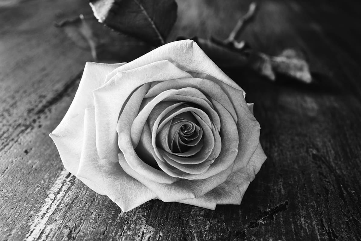 Fallece Enriqueta Platt de Salazar