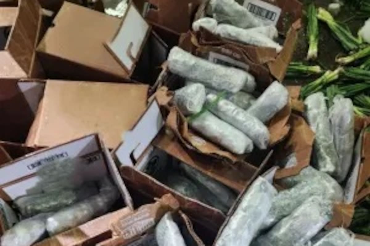 Más de 293 kilos de metanfetamina iban en cargamento de cebolla verde