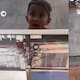 “¿Puede salir Zira?”: niños enternecen al pedir permiso para que la mascota de una tienda salga a jugar con ellos