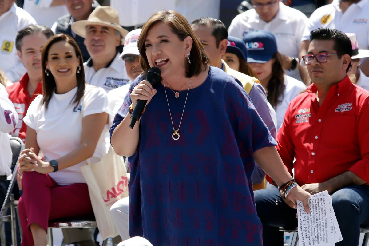 Xóchitl Gálvez se compromete con la protección animal: Cinco puntos clave de su agenda para México