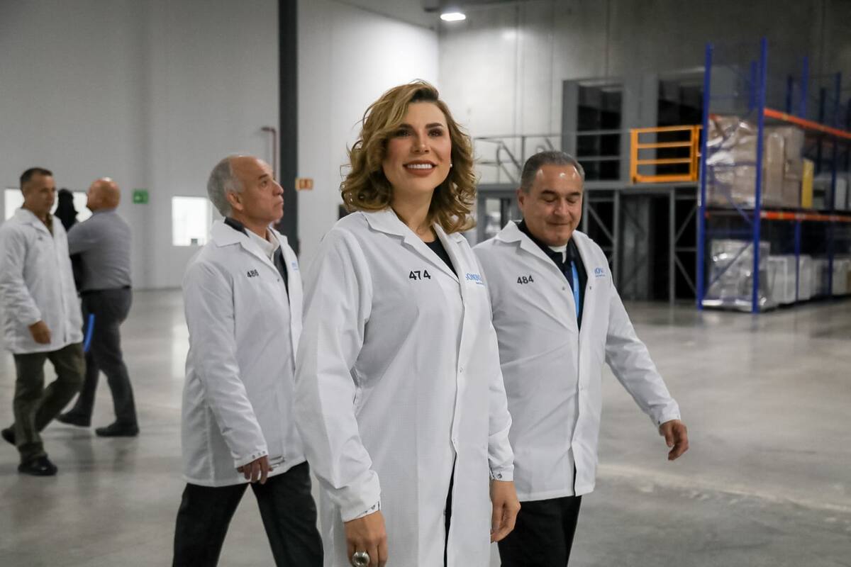 Crece el PIBE en Gobierno de Marina: Inegi