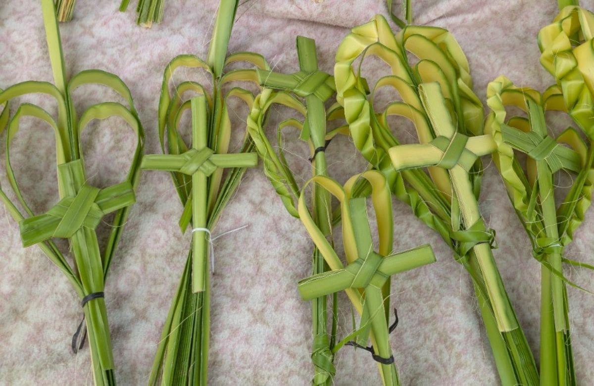 Domingo de Ramos. | Foto: Julián Ortega