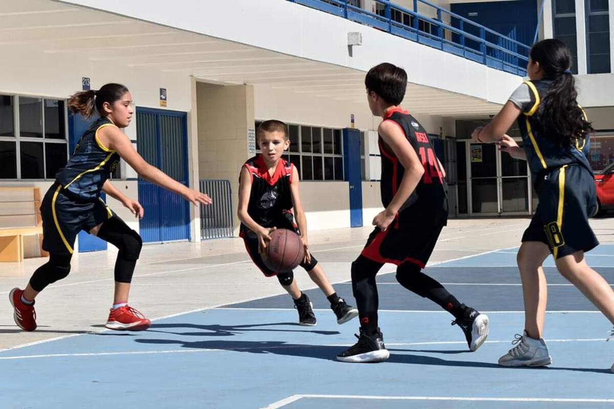 Ve Academia Zonkeys triunfo en Mini y Pasarela