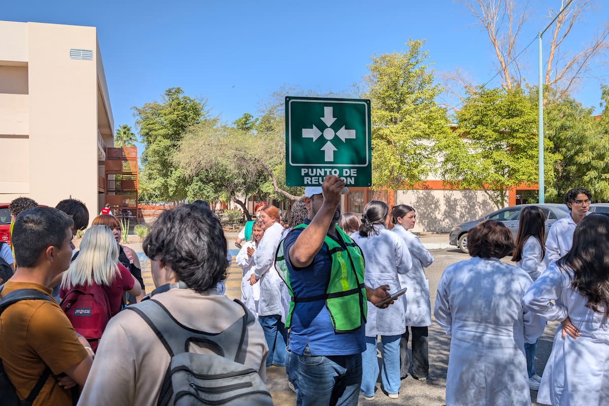Perro que mordió a cinco estudiantes en la Unison será observado 10 días para descartar rabia y evaluar su comportamiento: Instituto de Bienestar Animal