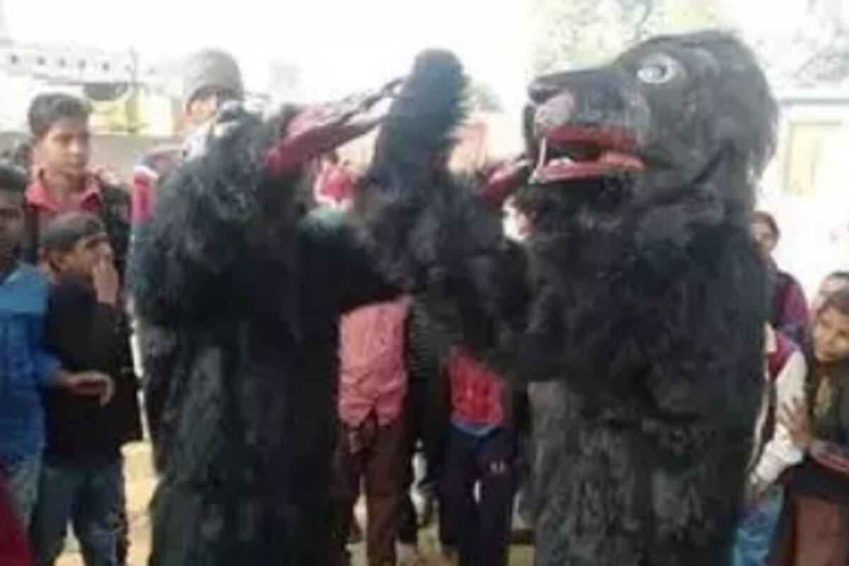 Habitantes de una aldea se visten de oso para acabar con los ataques de monos