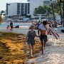 México destina más de 2 mil 600 millones de pesos para enfrentar el sargazo en el Caribe; 2026 registra cifras históricas