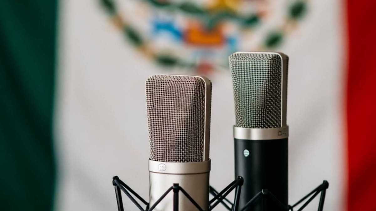 México, uno de los países más peligrosos para ejercer el periodismo: Expertos alertan aumento de agresiones